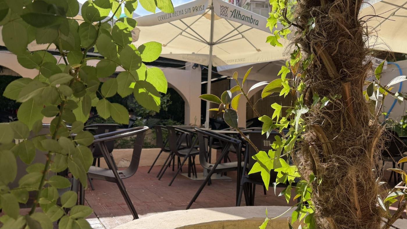 Terraza interior de La Paloma con sombrillas y plantas